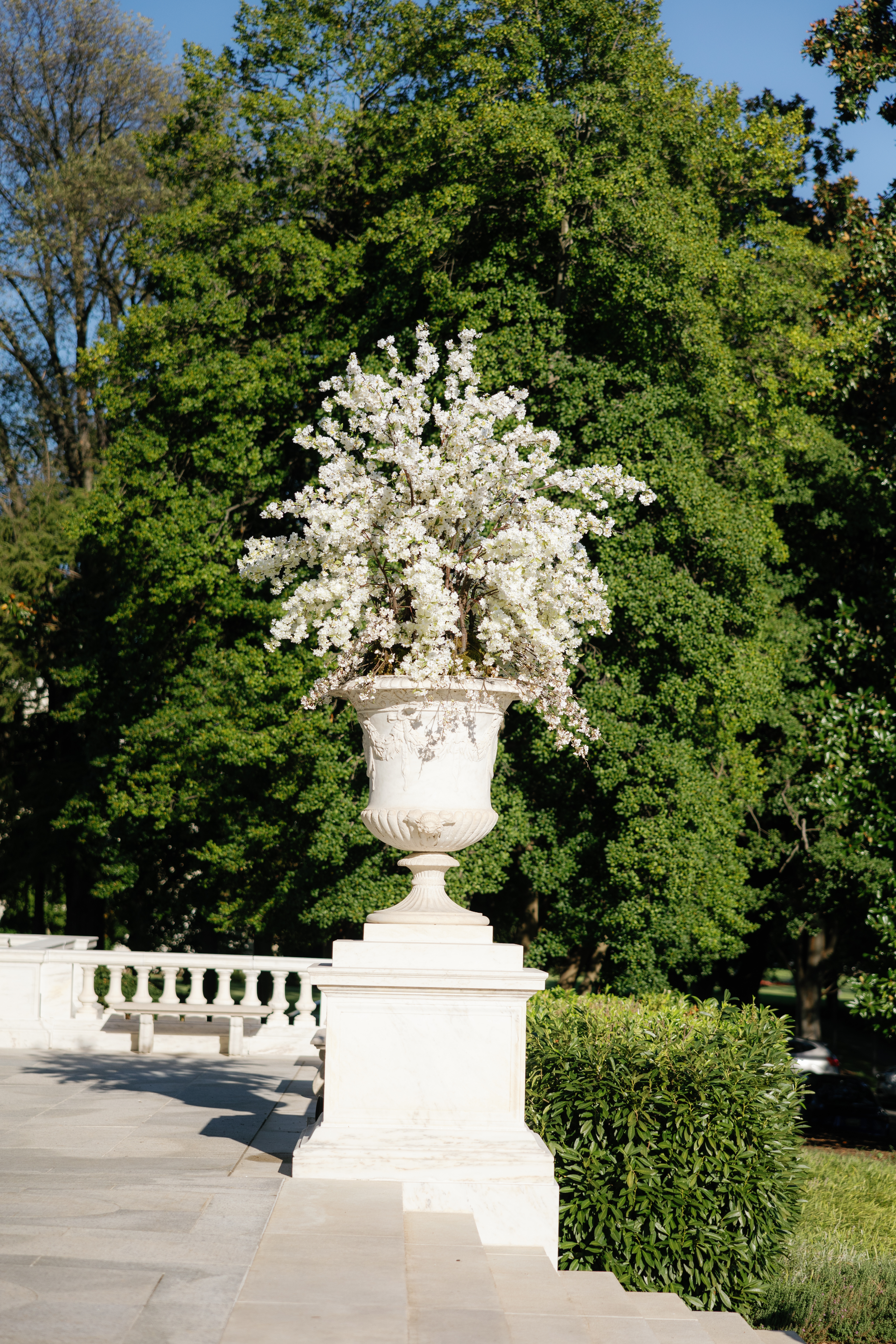 ceremony at Potomac View Terrace DC