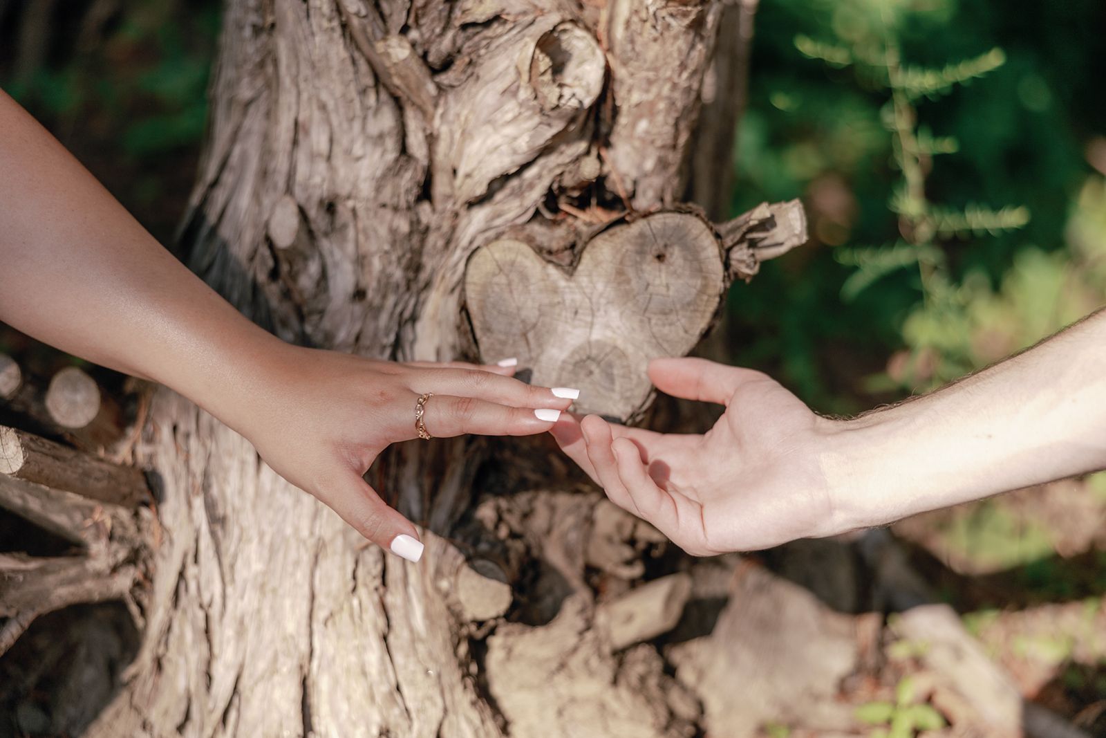 Meadowlark Botanical Garden engagement photos