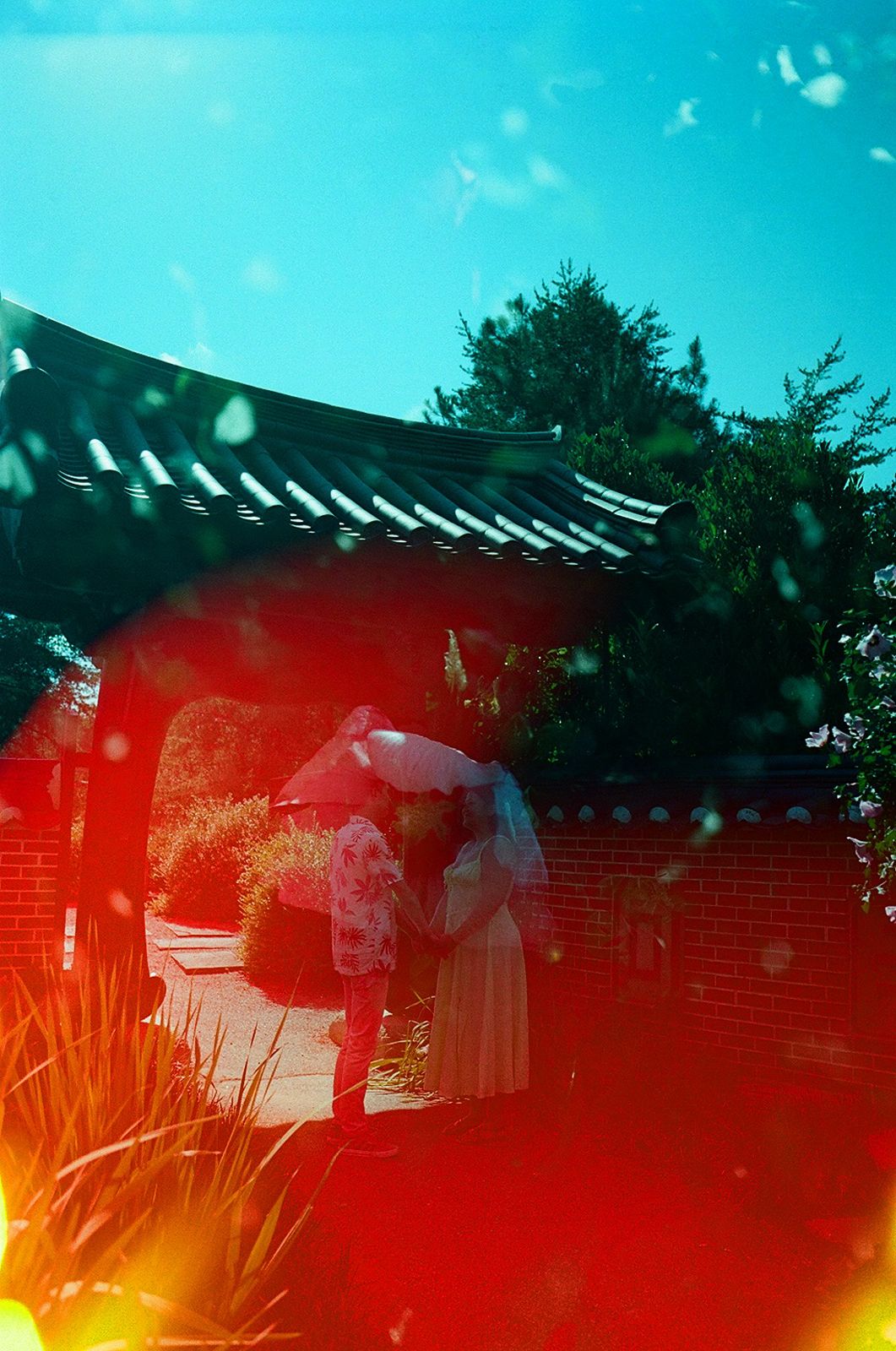 Meadowlark Botanical Garden engagement photos film