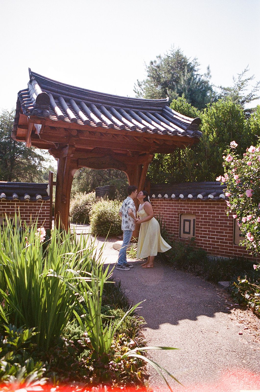 Meadowlark Botanical Garden engagement photos film